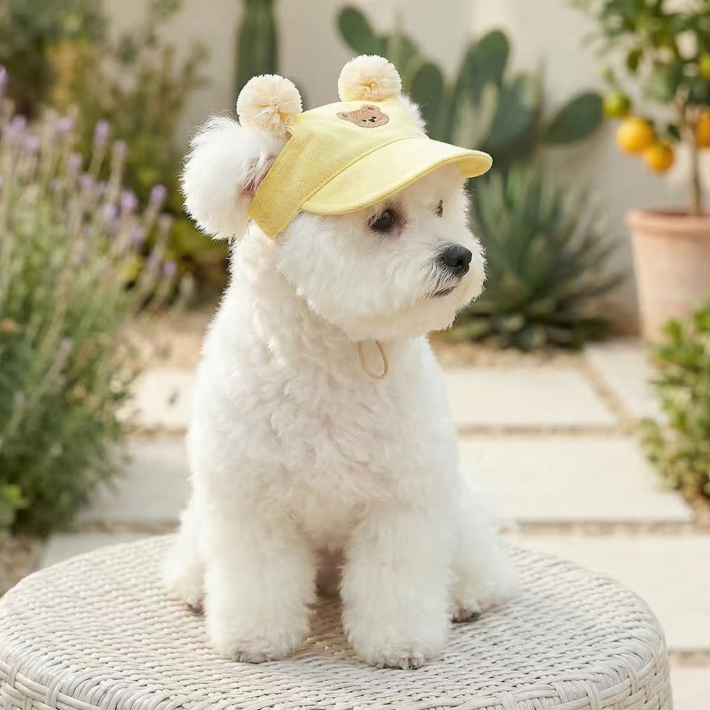 Summer Sun Protection Pet Baseball Hat, Cute Embroidery Adjustable Puppy Visor Cap for Small Breeds