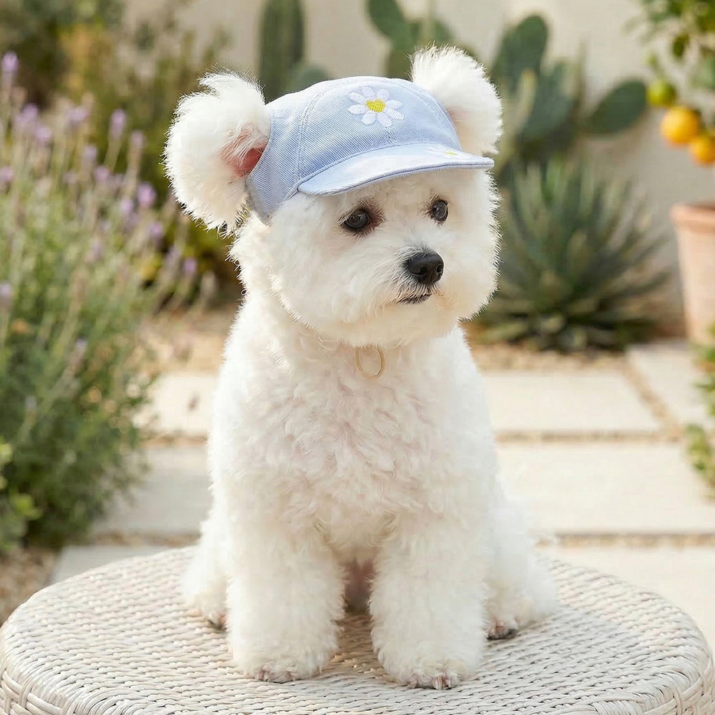 Summer Sun Protection Pet Baseball Hat, Cute Embroidery Adjustable Puppy Visor Cap for Small Breeds