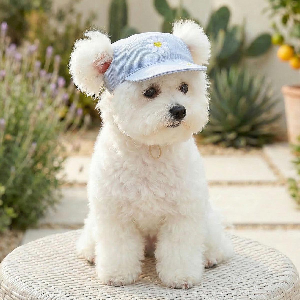 Summer Sun Protection Pet Baseball Hat, Cute Embroidery Adjustable Puppy Visor Cap for Small Breeds