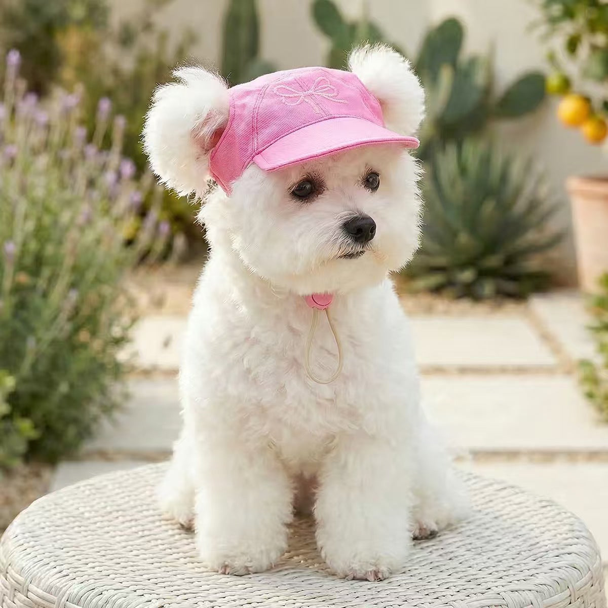 Summer Sun Protection Pet Baseball Hat, Cute Embroidery Adjustable Puppy Visor Cap for Small Breeds