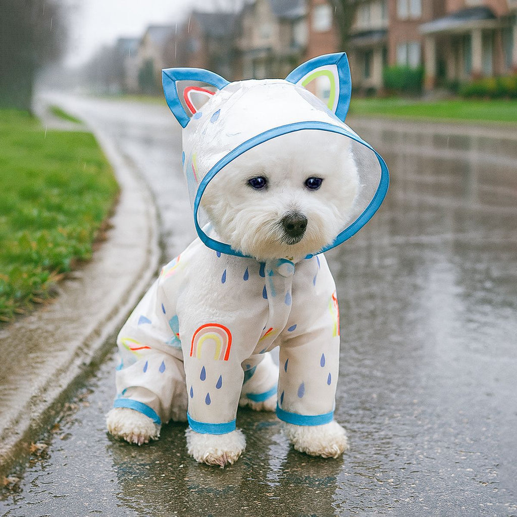Waterproof Transparent Rainbow Pet Raincoat, Cartoon Cat Ear Hooded Puppy Rain Jacket for Small Breeds