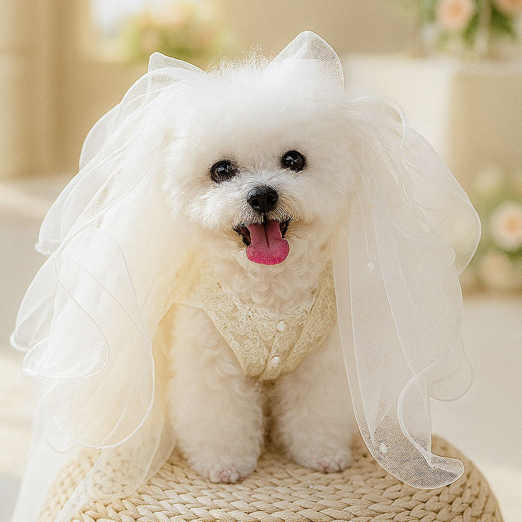 Luxury Satin Bow Pearl Dog Bridal Veil, Soft Tulle Wedding Hair Veil for Small Breed Puppies